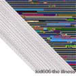 Kid 606 - The Illness - 12